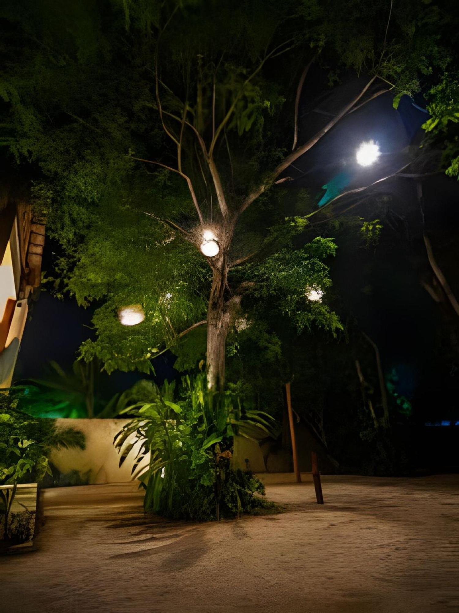 Apartmán Casa De Piedra - Departamentos Bacalar- Exteriér fotografie